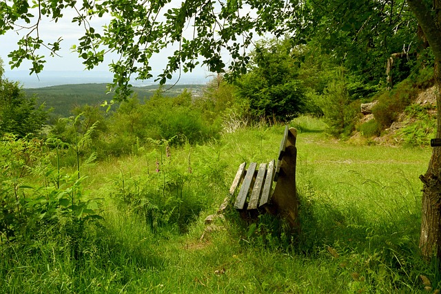 位为他的助 位为他的助