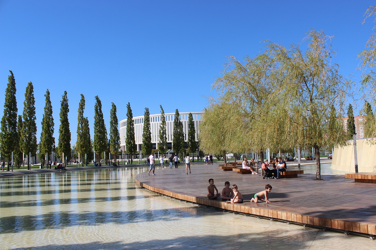 展战略和管 展战略和管