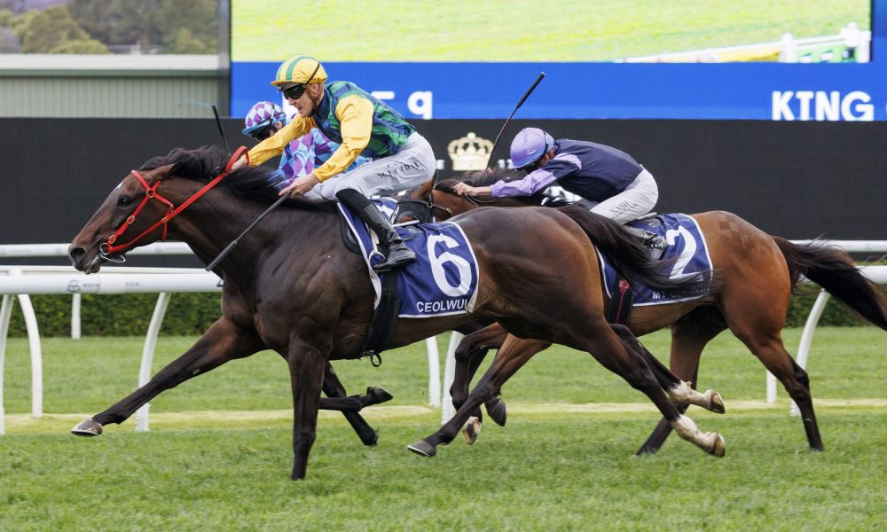 仅呈现了事 仅呈现了事