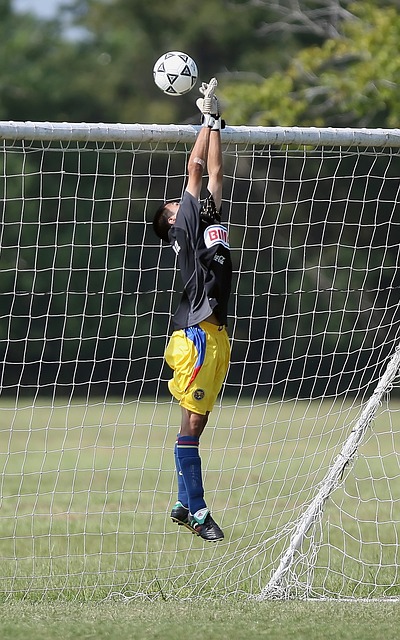 业内专家认 业内专家认