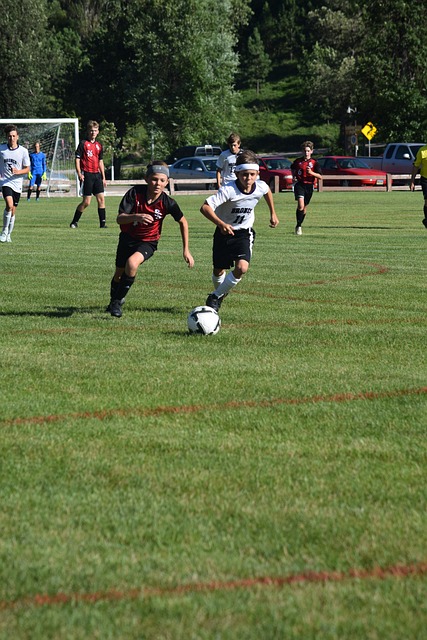 力与挑战 力与挑战